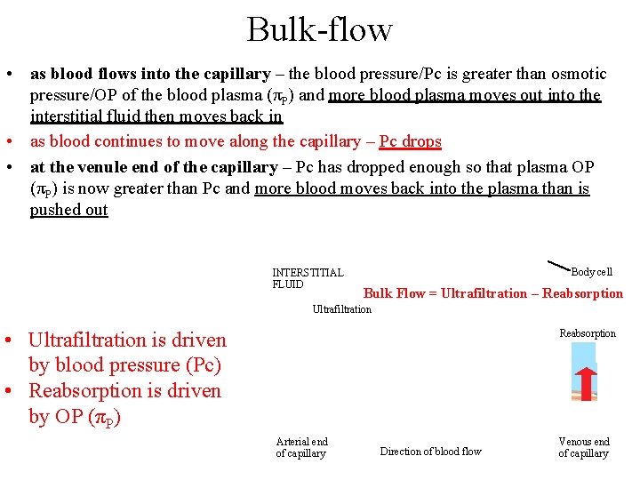 Bulk-flow • as blood flows into the capillary – the blood pressure/Pc is greater Bulk-flow • as blood flows into the capillary – the blood pressure/Pc is greater