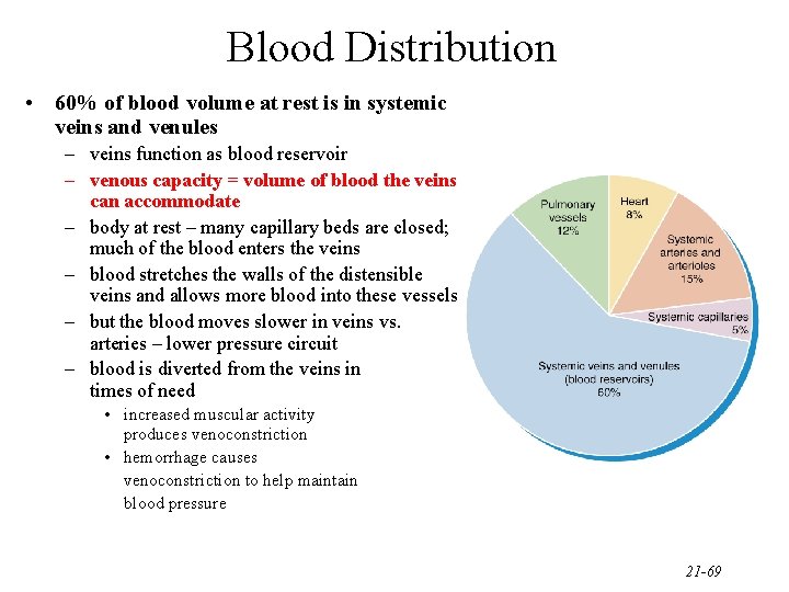 Blood Distribution • 60% of blood volume at rest is in systemic veins and