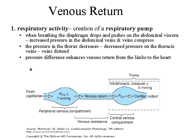 Venous Return 1. respiratory activity– creation of a respiratory pump • when breathing the