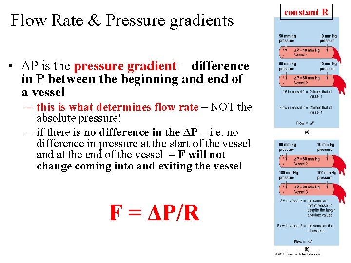 Flow Rate & Pressure gradients • ΔP is the pressure gradient = difference in