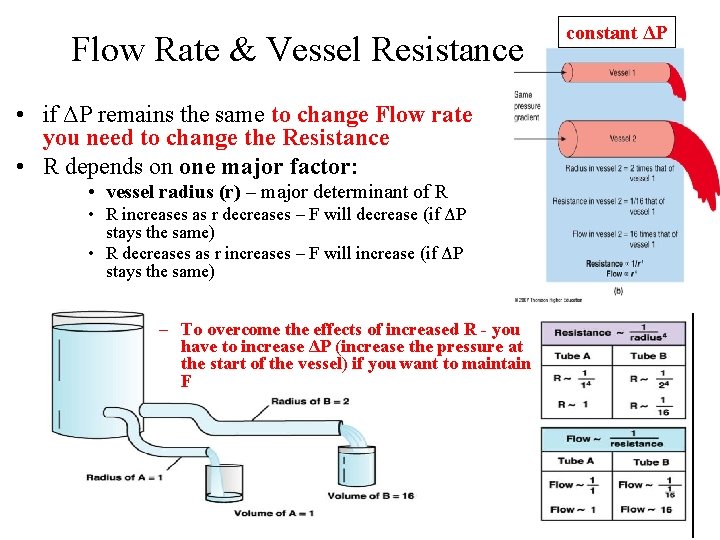 Flow Rate & Vessel Resistance • if ΔP remains the same to change Flow Flow Rate & Vessel Resistance • if ΔP remains the same to change Flow