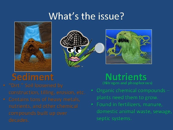 What’s the issue? Sediment Nutrients (Nitrogen and phosphorous) • “Dirt. ” Soil loosened by