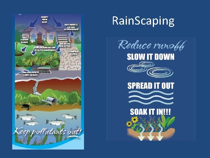 Rain. Scaping 