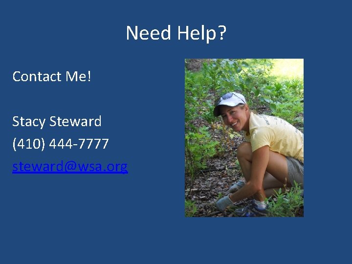 Need Help? Contact Me! Stacy Steward (410) 444 -7777 steward@wsa. org 