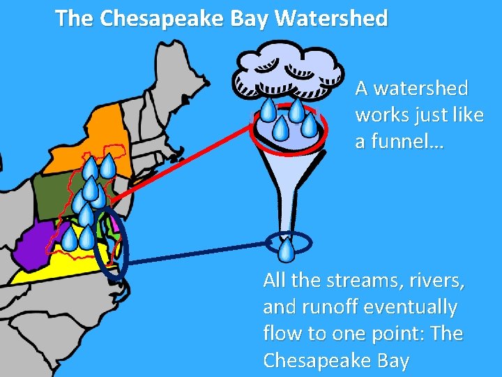 The Chesapeake Bay Watershed A watershed works just like a funnel… All the streams,