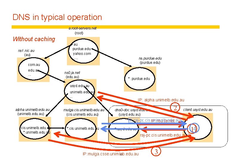 DNS in typical operation a. root-servers. net (root) Without caching ns 1. nic. au