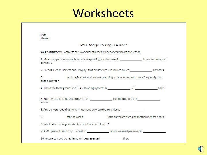 Worksheets 