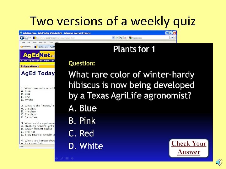 Two versions of a weekly quiz 
