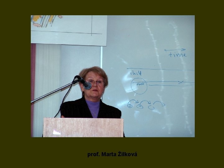 prof. Marta Žilková 