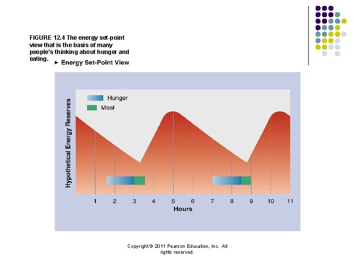 FIGURE 12. 4 The energy set-point view that is the basis of many people’s