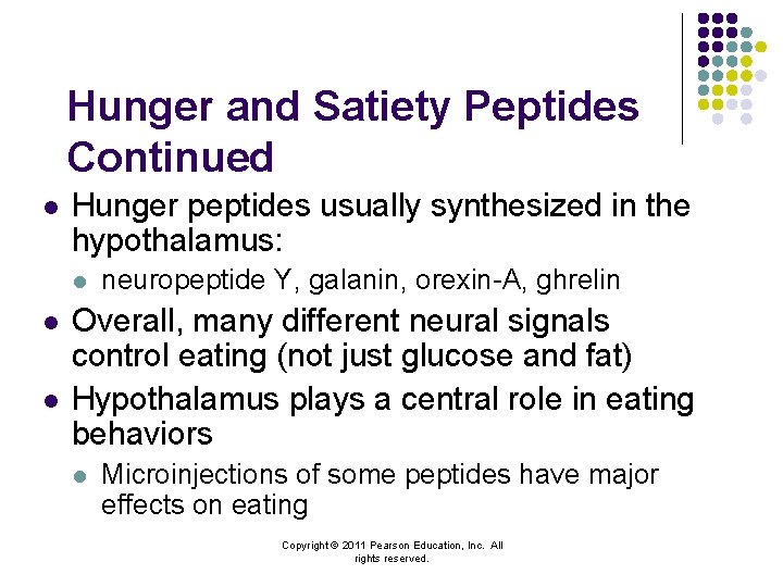 Hunger and Satiety Peptides Continued l Hunger peptides usually synthesized in the hypothalamus: l