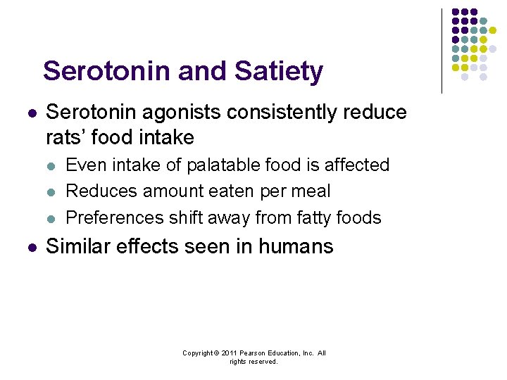 Serotonin and Satiety l Serotonin agonists consistently reduce rats’ food intake l l Even