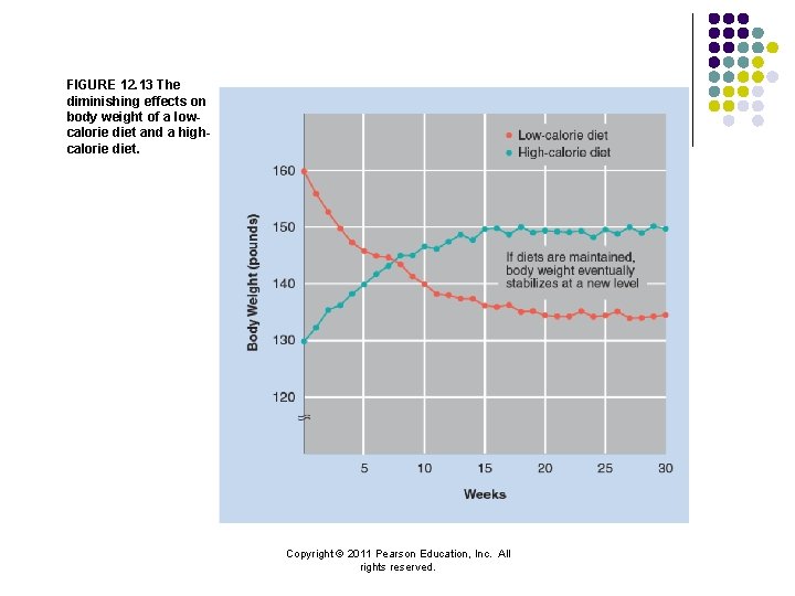 FIGURE 12. 13 The diminishing effects on body weight of a lowcalorie diet and