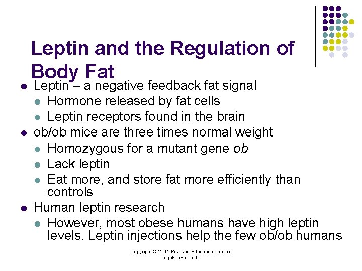 l l l Leptin and the Regulation of Body Fat Leptin – a negative