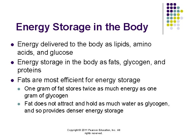 Energy Storage in the Body l l l Energy delivered to the body as