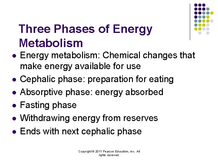 Three Phases of Energy Metabolism l l l Energy metabolism: Chemical changes that make