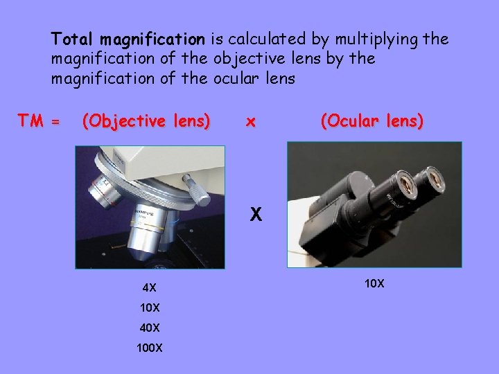 Total magnification is calculated by multiplying the magnification of the objective lens by the