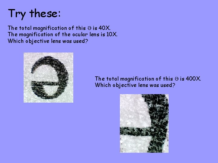 Try these: The total magnification of this Ə is 40 X. The magnification of