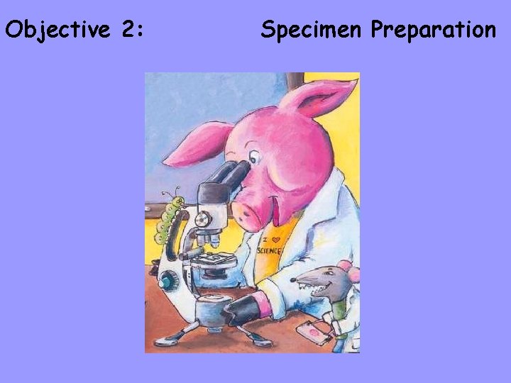 Objective 2: Specimen Preparation 