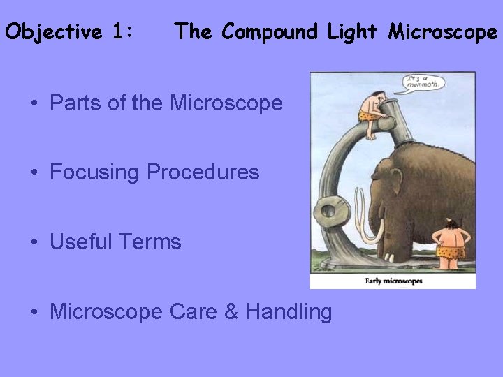 Objective 1: The Compound Light Microscope • Parts of the Microscope • Focusing Procedures