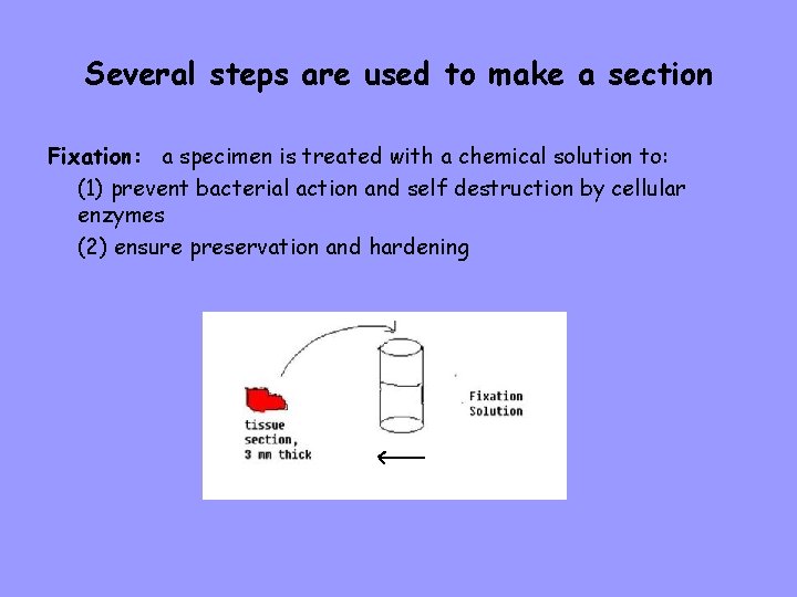 Several steps are used to make a section Fixation: a specimen is treated with