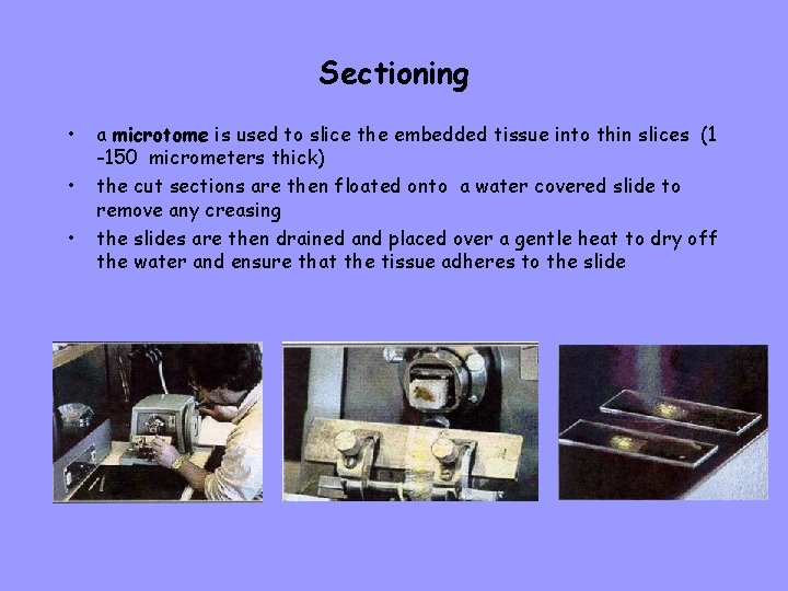 Sectioning • • • a microtome is used to slice the embedded tissue into