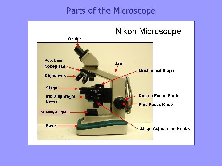 Parts of the Microscope Revolving Substage light 
