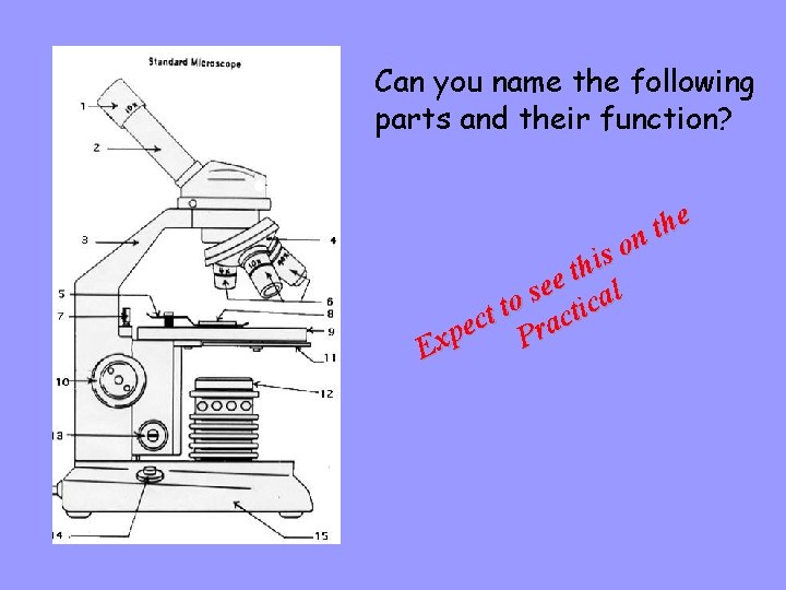 Can you name the following parts and their function? e h t n o