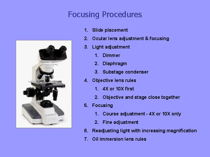 Focusing Procedures 1. Slide placement 2. Ocular lens adjustment & focusing 3. Light adjustment