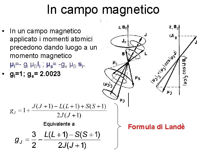 In campo magnetico • In un campo magnetico applicato i momenti atomici precedono dando
