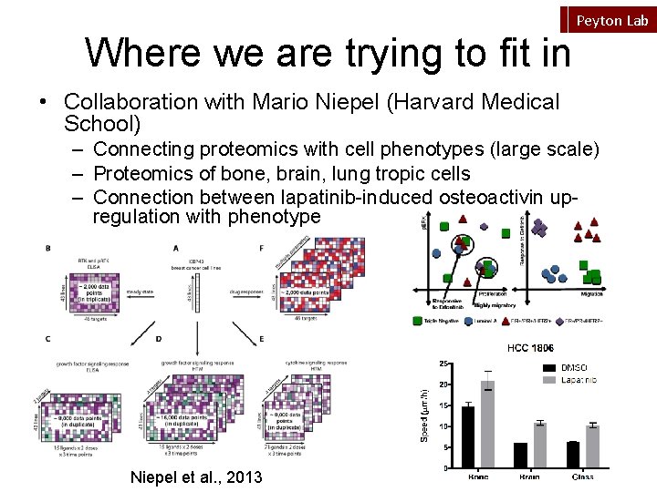 Peyton Lab Where we are trying to fit in • Collaboration with Mario Niepel