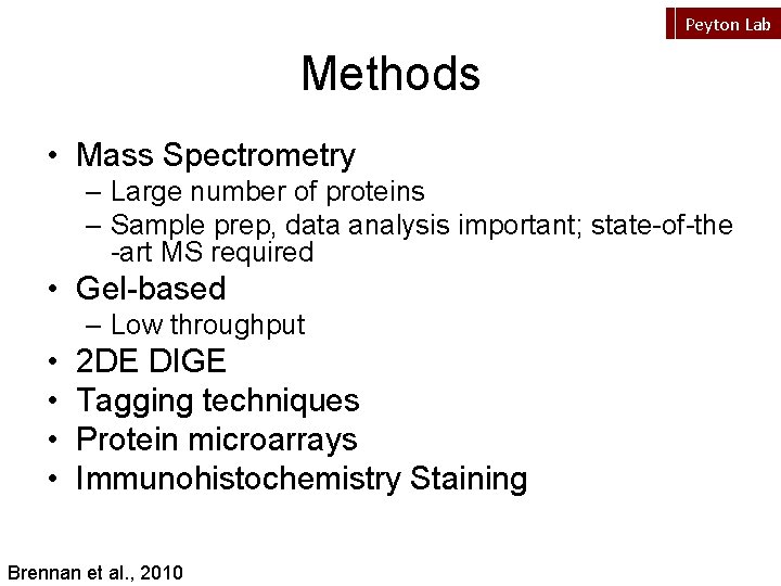 Peyton Lab Methods • Mass Spectrometry – Large number of proteins – Sample prep,
