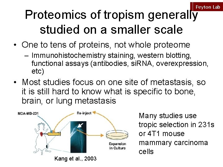 Peyton Lab Proteomics of tropism generally studied on a smaller scale • One to