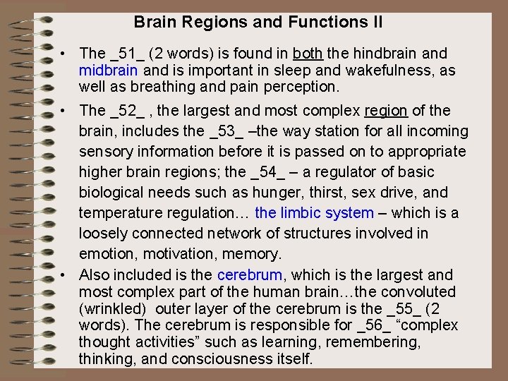 Brain Regions and Functions II • The _51_ (2 words) is found in both