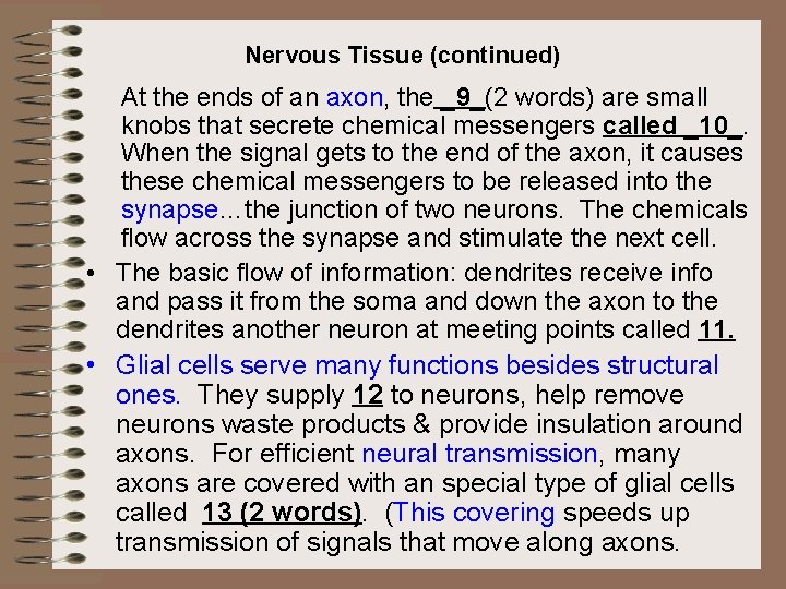 Nervous Tissue (continued) At the ends of an axon, the _9_(2 words) are small