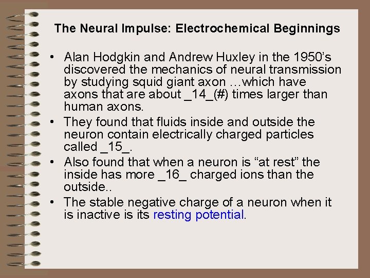 The Neural Impulse: Electrochemical Beginnings • Alan Hodgkin and Andrew Huxley in the 1950’s