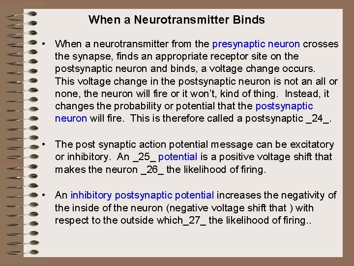 When a Neurotransmitter Binds • When a neurotransmitter from the presynaptic neuron crosses the