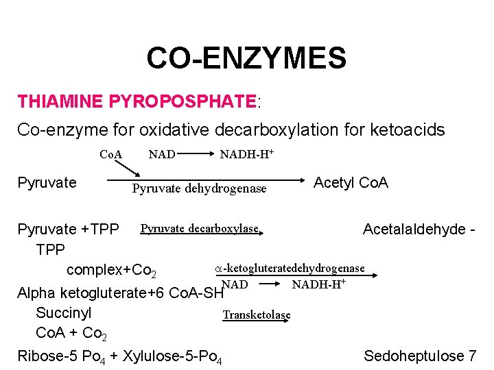 CO-ENZYMES THIAMINE PYROPOSPHATE: Co-enzyme for oxidative decarboxylation for ketoacids Co. A Pyruvate NADH-H+ Pyruvate