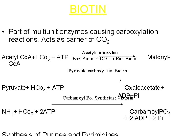 BIOTIN • Part of multiunit enzymes causing carboxylation reactions. Acts as carrier of CO