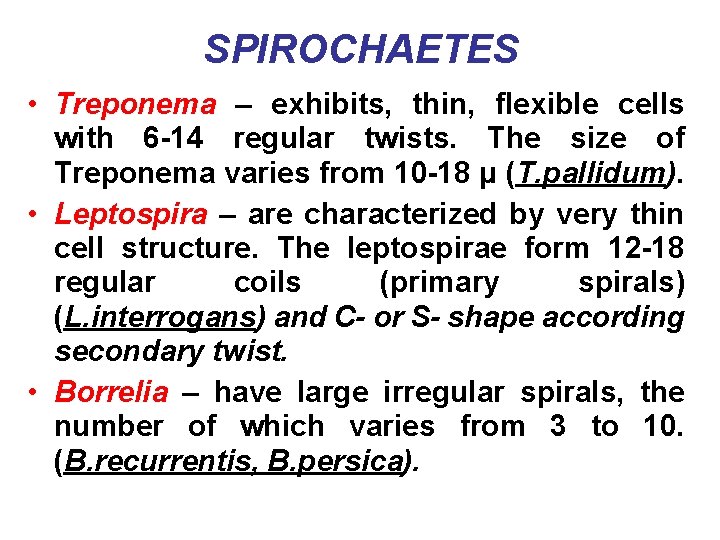 SPIROCHAETES • Treponema – exhibits, thin, flexible cells with 6 -14 regular twists. The