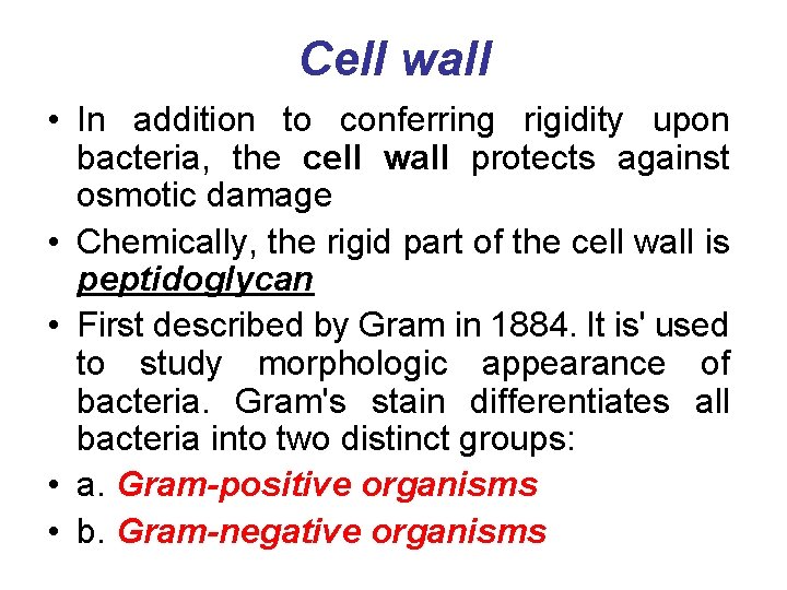 Cell wall • In addition to conferring rigidity upon bacteria, the cell wall protects