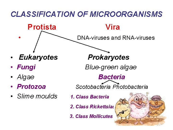 CLASSIFICATION OF MICROORGANISMS Protista • • • Eukaryotes Fungi Algae Protozoa Slime moulds Vira