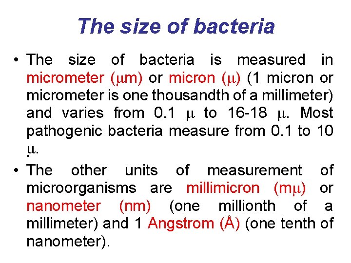 The size of bacteria • The size of bacteria is measured in micrometer (