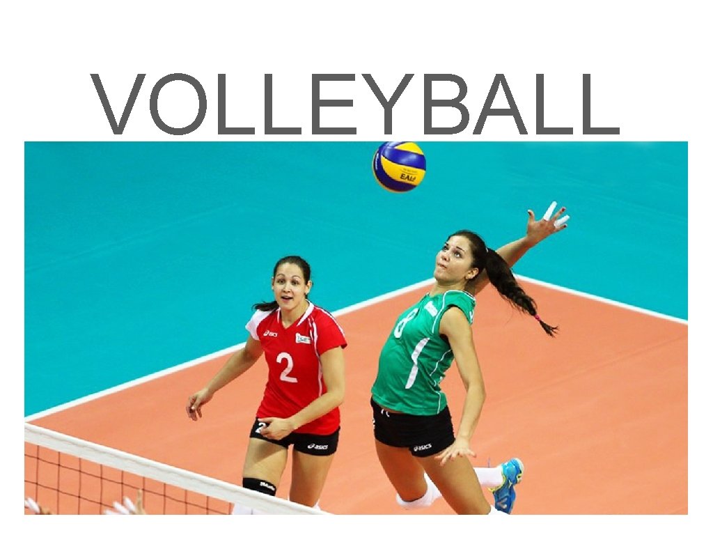 VOLLEYBALL 