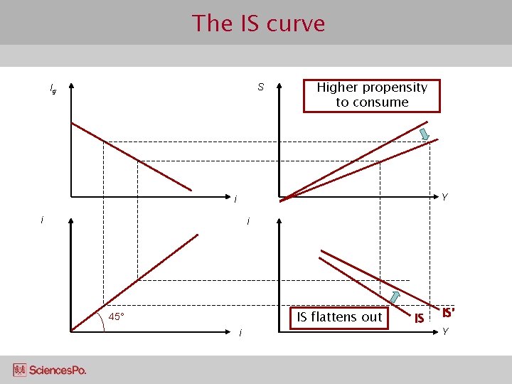 The IS curve S Ig Higher propensity to consume Y i i i IS