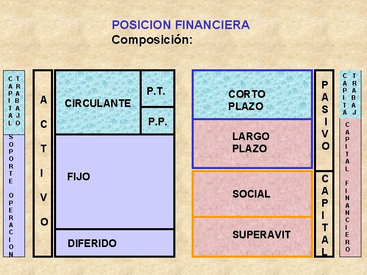 POSICION FINANCIERA Composición: C A P I T A L S O P O