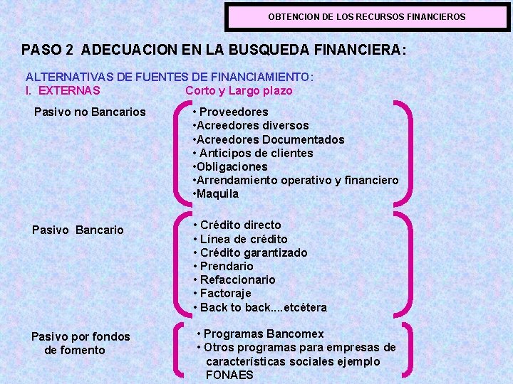OBTENCION DE LOS RECURSOS FINANCIEROS PASO 2 ADECUACION EN LA BUSQUEDA FINANCIERA: ALTERNATIVAS DE