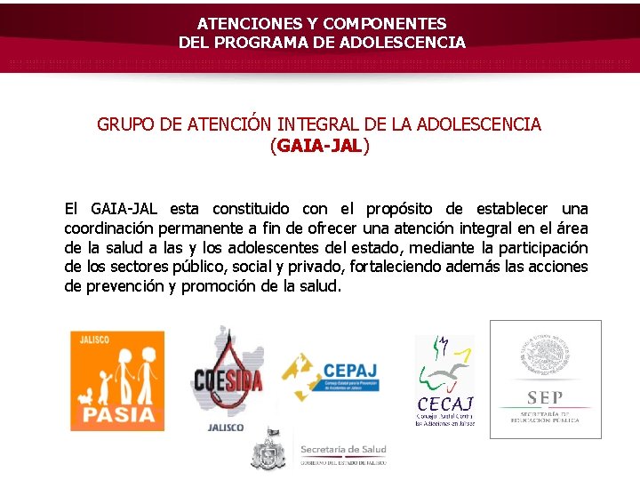 ATENCIONES Y COMPONENTES DEL PROGRAMA DE ADOLESCENCIA GRUPO DE ATENCIÓN INTEGRAL DE LA ADOLESCENCIA
