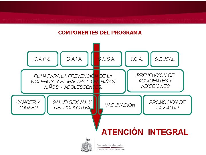 COMPONENTES DEL PROGRAMA G. A. P. S. G. A. I. A. S. N. S.