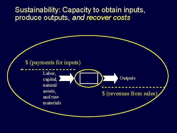 Sustainability: Capacity to obtain inputs, produce outputs, and recover costs $ (payments for inputs)